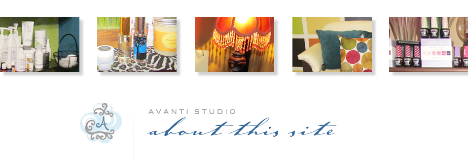 Avanti Studio * About this Site
